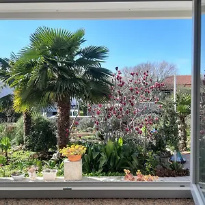 Summer Bloom Krk Town